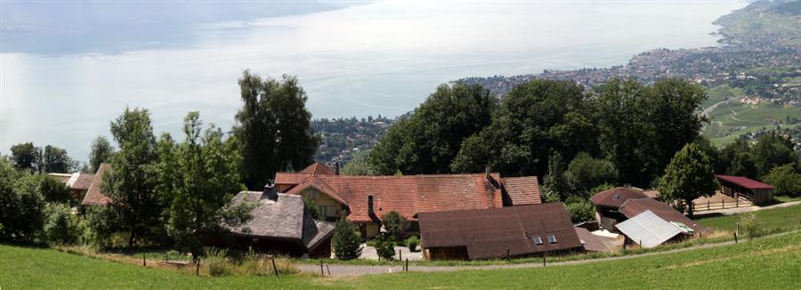 panorama